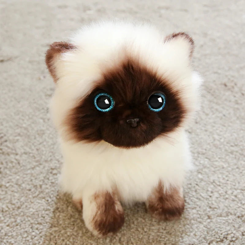 20cm Simulation Siamese Cat Plush Toy Blue Sequins Eyes Dolls Brown and White Face Ragdoll Cats Home Decor Cute Gift for Baby