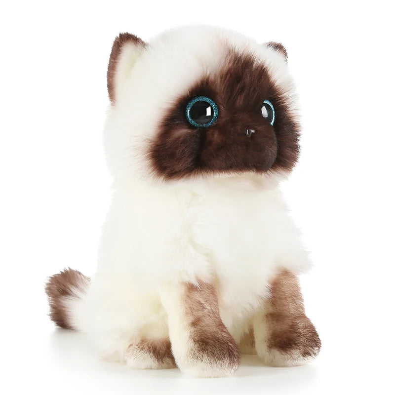 20cm Simulation Siamese Cat Plush Toy Blue Sequins Eyes Dolls Brown and White Face Ragdoll Cats Home Decor Cute Gift for Baby