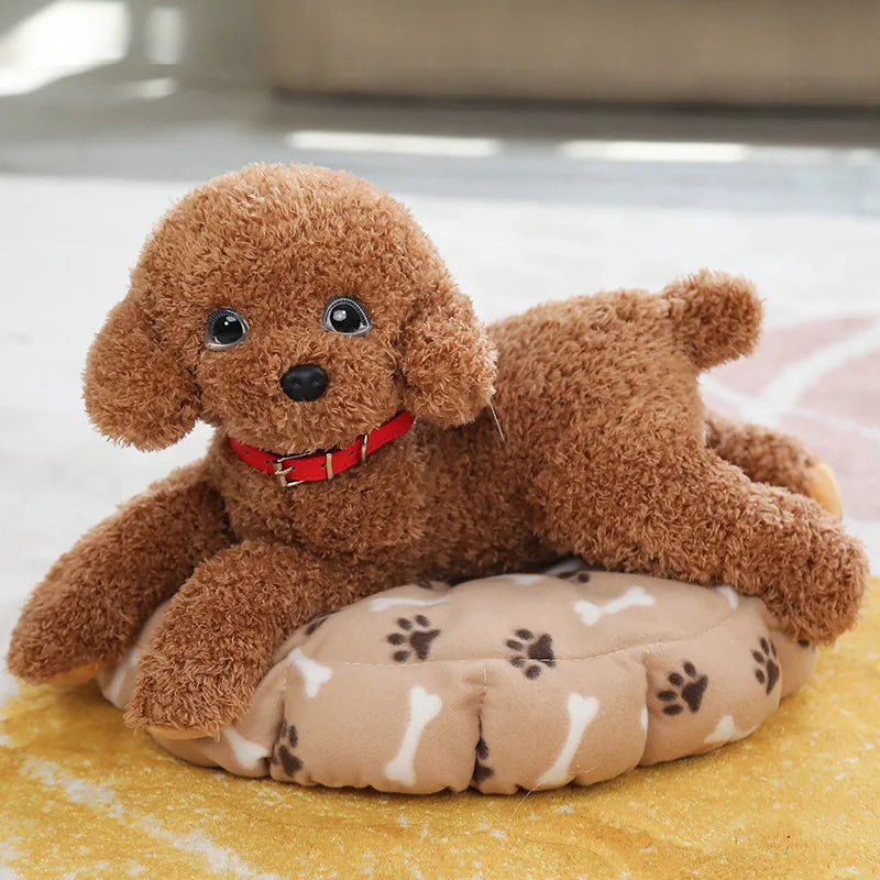 35/55cm Real Life Teddy Dog Poodle Plush Toys Suffed Animal Doll For Christmas Birthday Gift