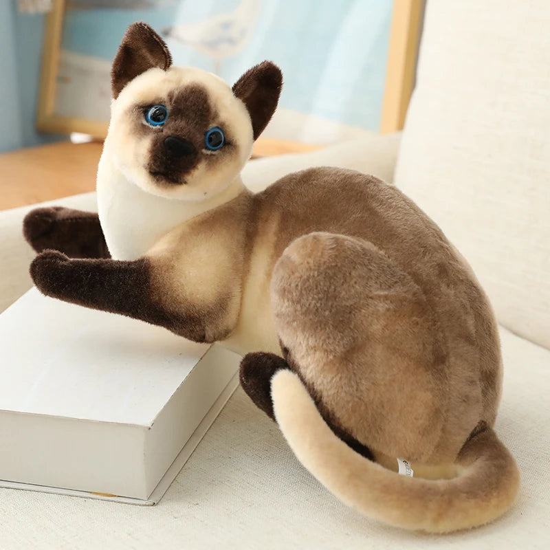 Simulation Pillow American Shorthai &Siamese Cat Plush&Stuffed Lifelike Doll Animal Pet Toys For Children Home Decor Baby Gift