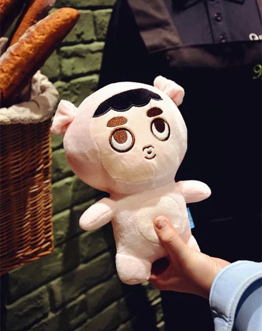 23cm KPOP EXO Plush Doll Kawaii Korea Fashion Superstar Kyungsoo D.O Baek Hyun Chan Yeol Kai Figure Plush Toys Girls Fans Gift