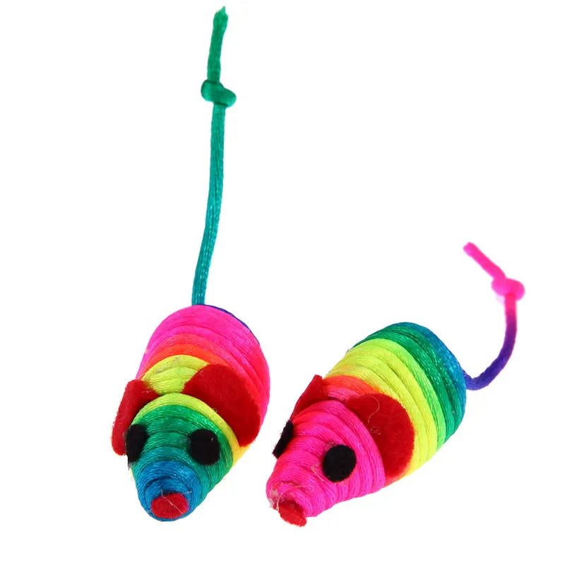 5 Piece Cat Toys for Bonding w/ Cats