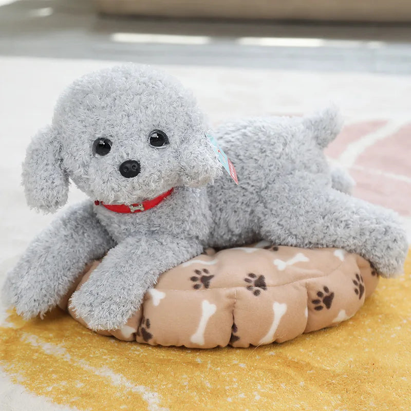 35/55cm Real Life Teddy Dog Poodle Plush Toys Suffed Animal Doll For Christmas Birthday Gift