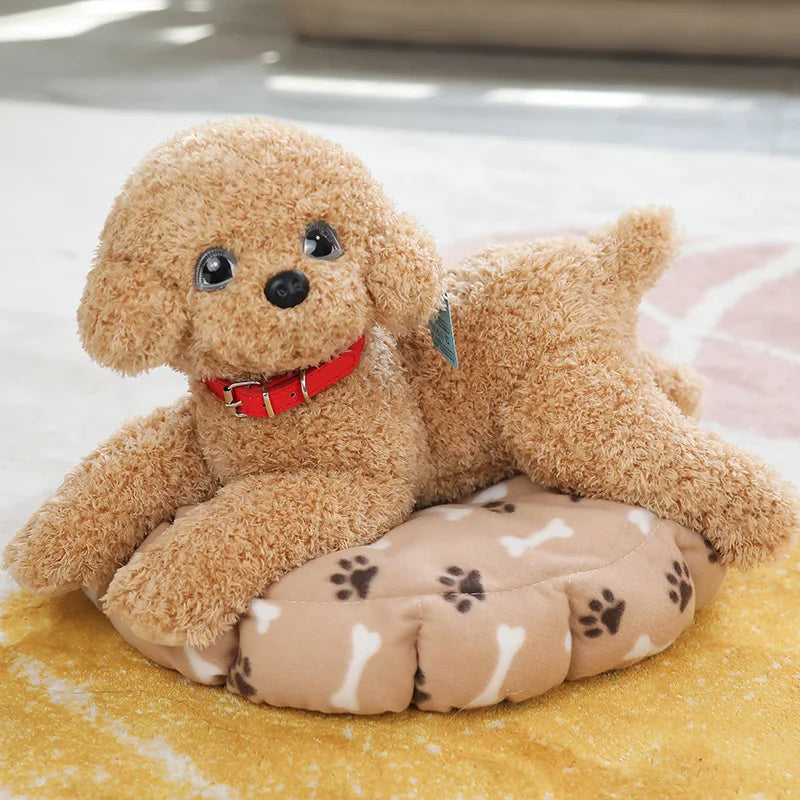 35/55cm Real Life Teddy Dog Poodle Plush Toys Suffed Animal Doll For Christmas Birthday Gift