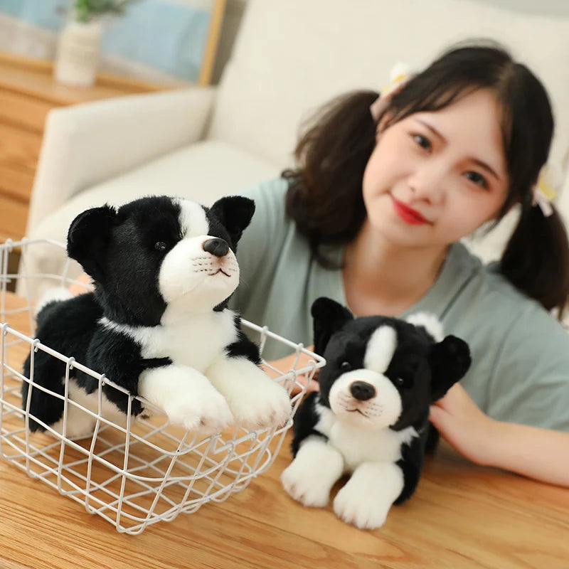 34cm High Quality Lovely Plush Animals Toys Simulation Border Collie Super Soft Dog Pillow Dolls For Boys Kids Birthday Gift