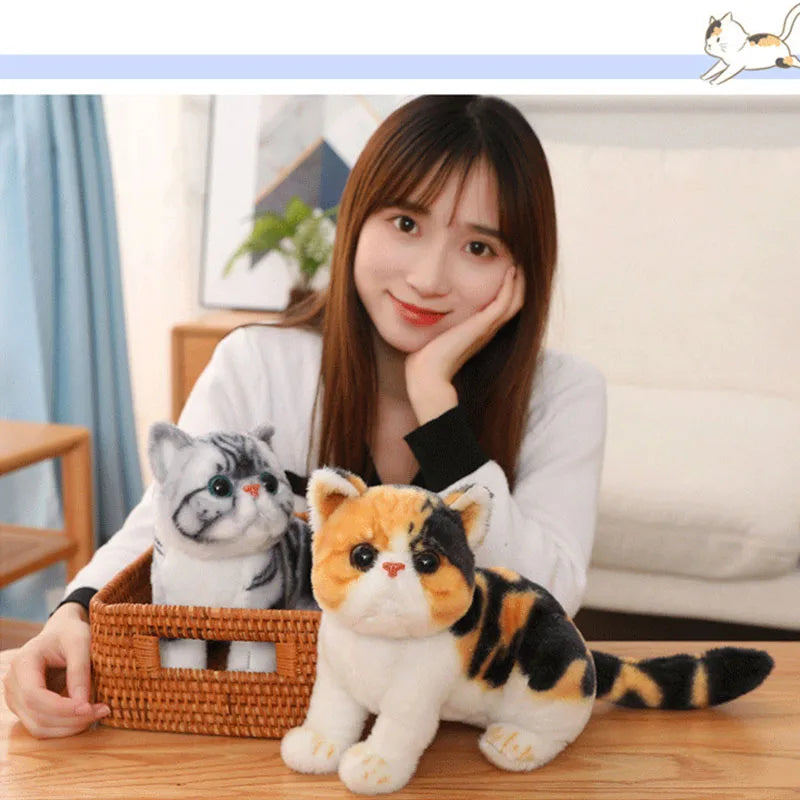 New Kawaii Cute Imitation Kitten Plush Toy Cat Star Doll Children Pacify And Follow Pillow Kids Toy Simulation Cat Stuffed Toys