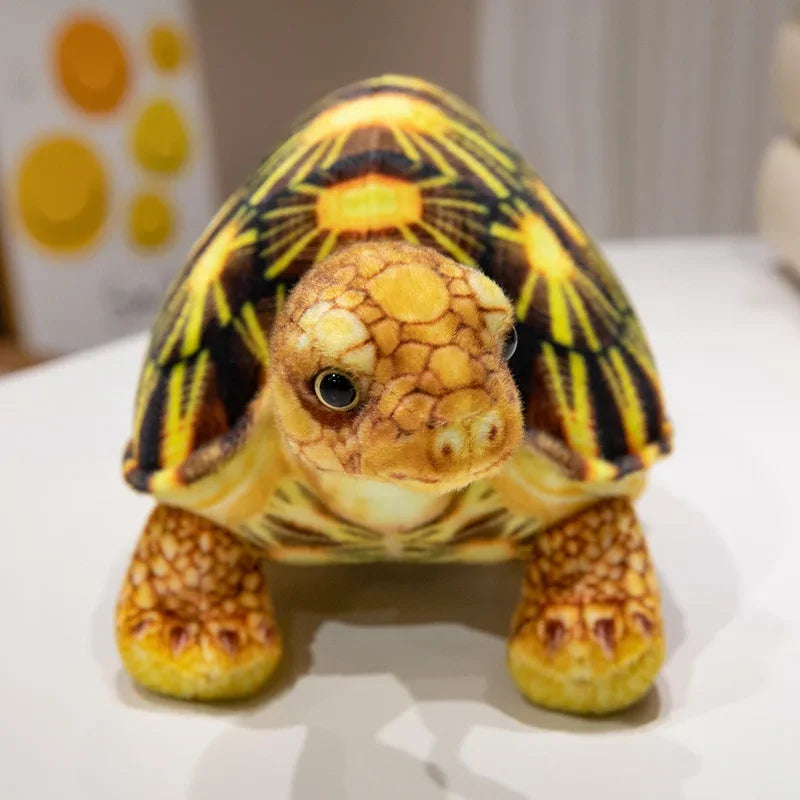 Realistic Turtle Doll Pillow Gives Girls Hot Selling Cute Simulation Cartoon Tortoise Plush Toy Children Toy Gifts for Festivals