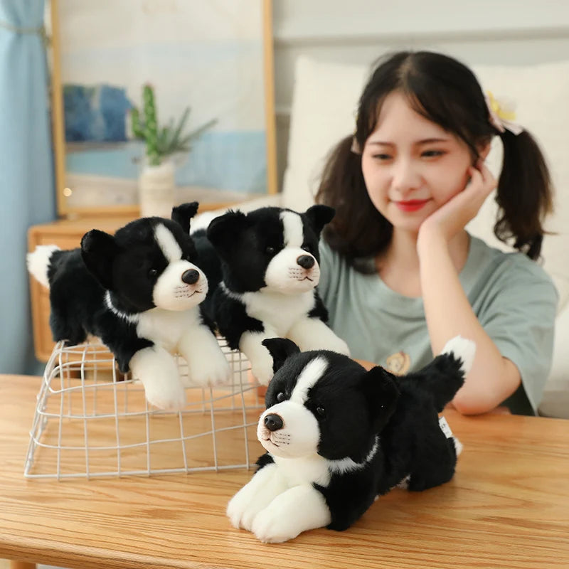 34cm High Quality Lovely Plush Animals Toys Simulation Border Collie Super Soft Dog Pillow Dolls For Boys Kids Birthday Gift