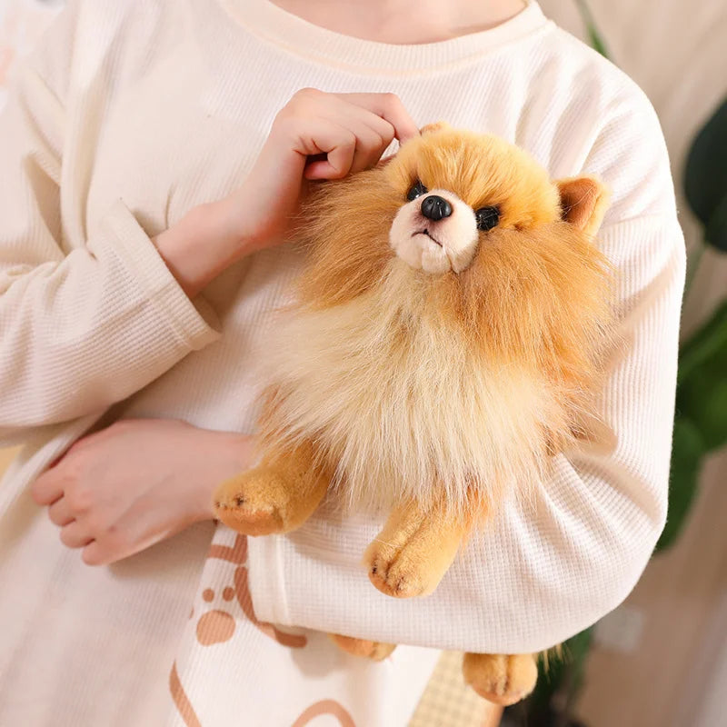 1pc 23CM Cute Plush Pomeranian Dog Real Life Peluche Toy Stuffed Animals Soft Puppy Pet Doll