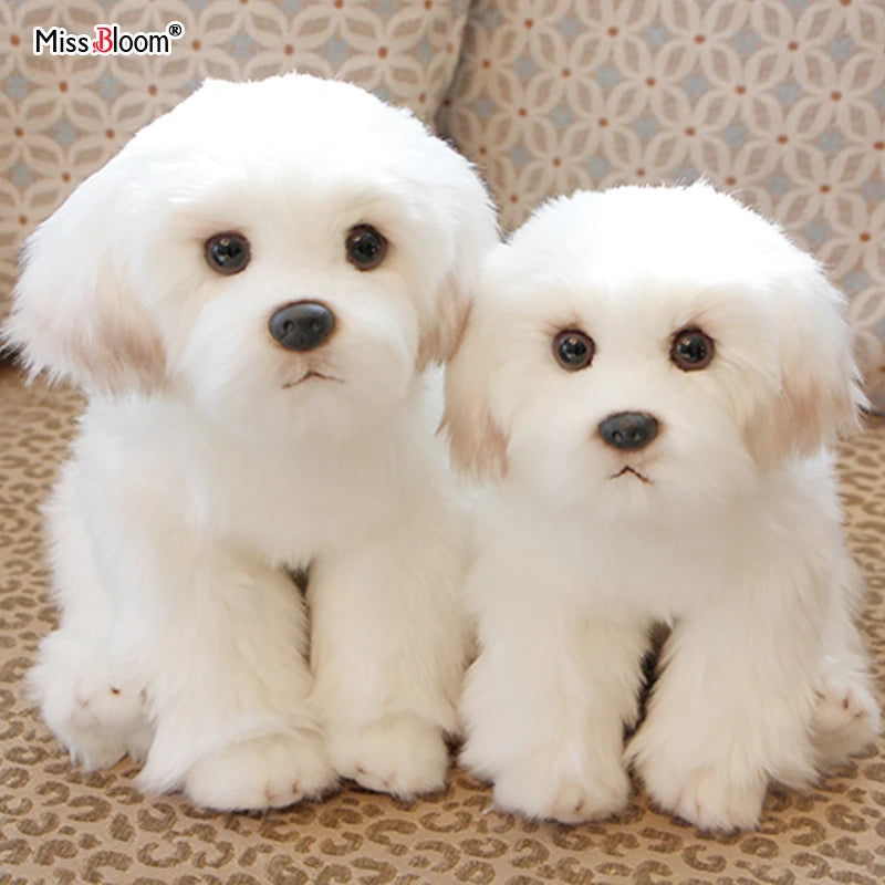 Maltese Stuffed Dog Dolls Plush Toy Cute Simulation Pets Fluffy Baby Birthday Gifts Christmas Children Malzis Puppy Dropshipping