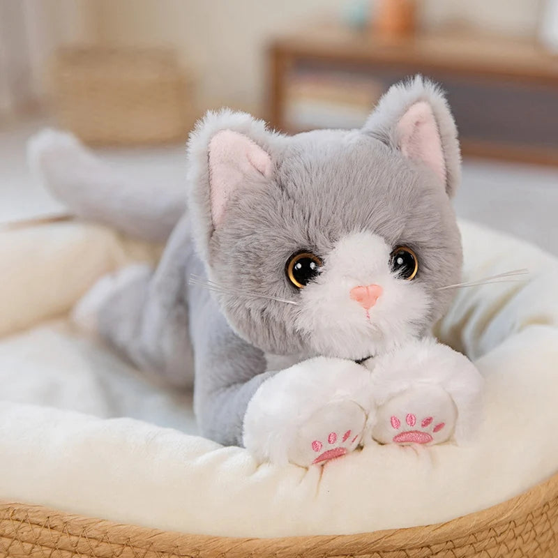 53CM Cute Simulated Cat Doll Plush Toy Stuffed Soft Animal Plush White Gray Kitten Pillow Kids Girls Birthday Gift Pet Toys