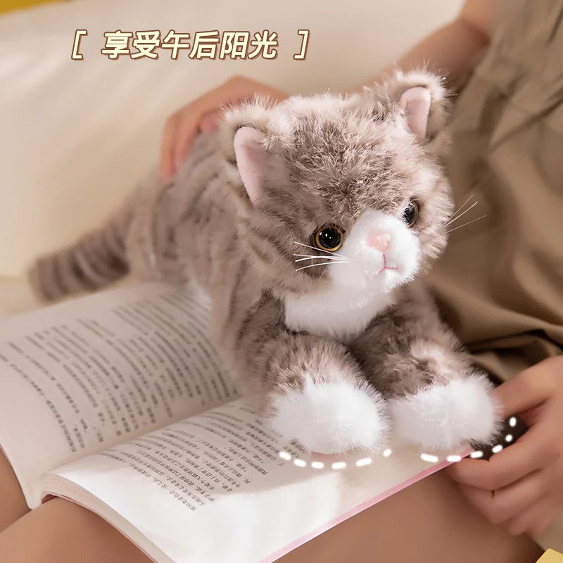 40/53CM Simlation Lying Kitten Plush Toys Fluffy Cat Stuffed Animal Pet Doll Black Orange Gray White Gray Cat Plushie Toys