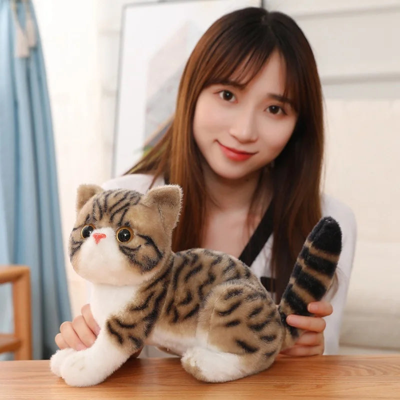 New Kawaii Cute Imitation Kitten Plush Toy Cat Star Doll Children Pacify And Follow Pillow Kids Toy Simulation Cat Stuffed Toys