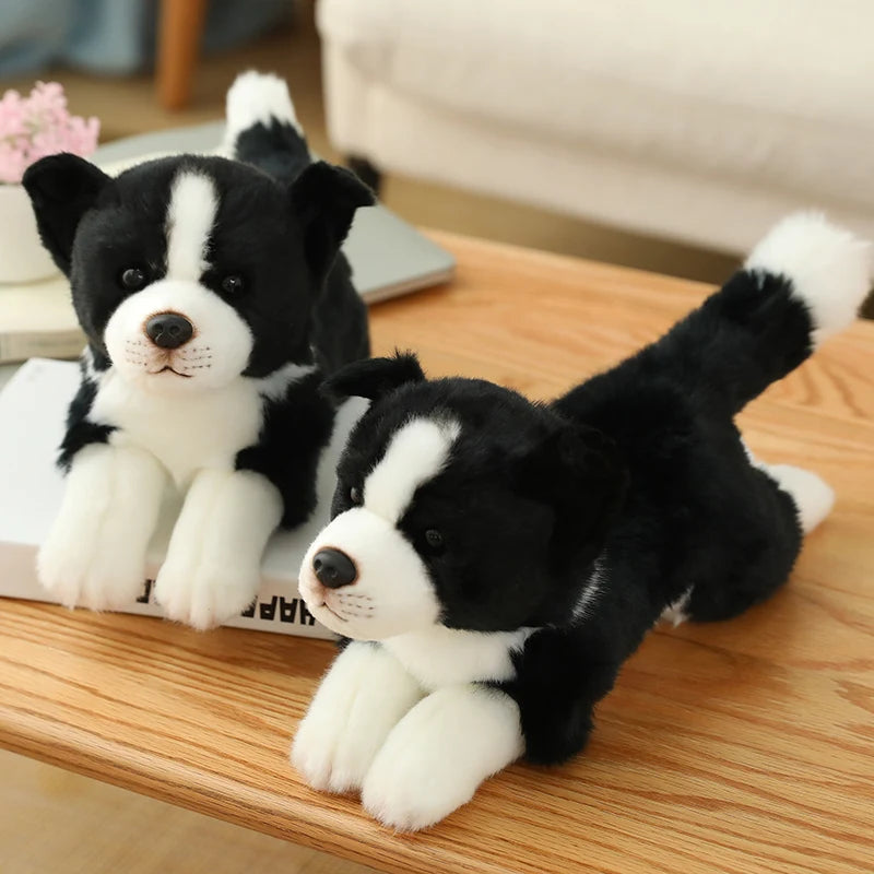 34cm High Quality Lovely Plush Animals Toys Simulation Border Collie Super Soft Dog Pillow Dolls For Boys Kids Birthday Gift