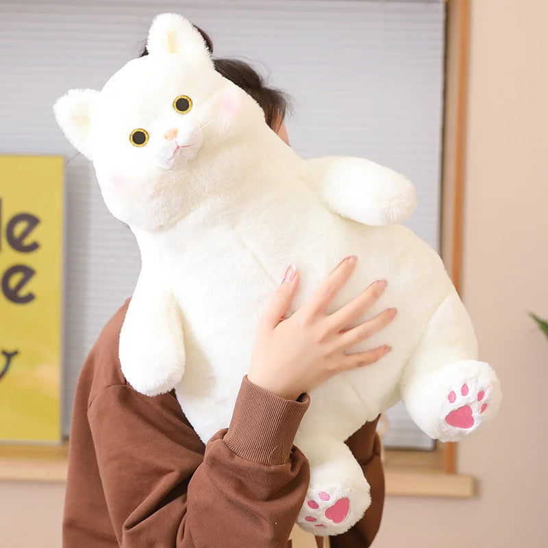 75cm Kawaii Fat White&Gray Cat Toys Pillow Plush Doll Cute Cute High Quality Elegant Gift for Boys Girls Friends Decorate