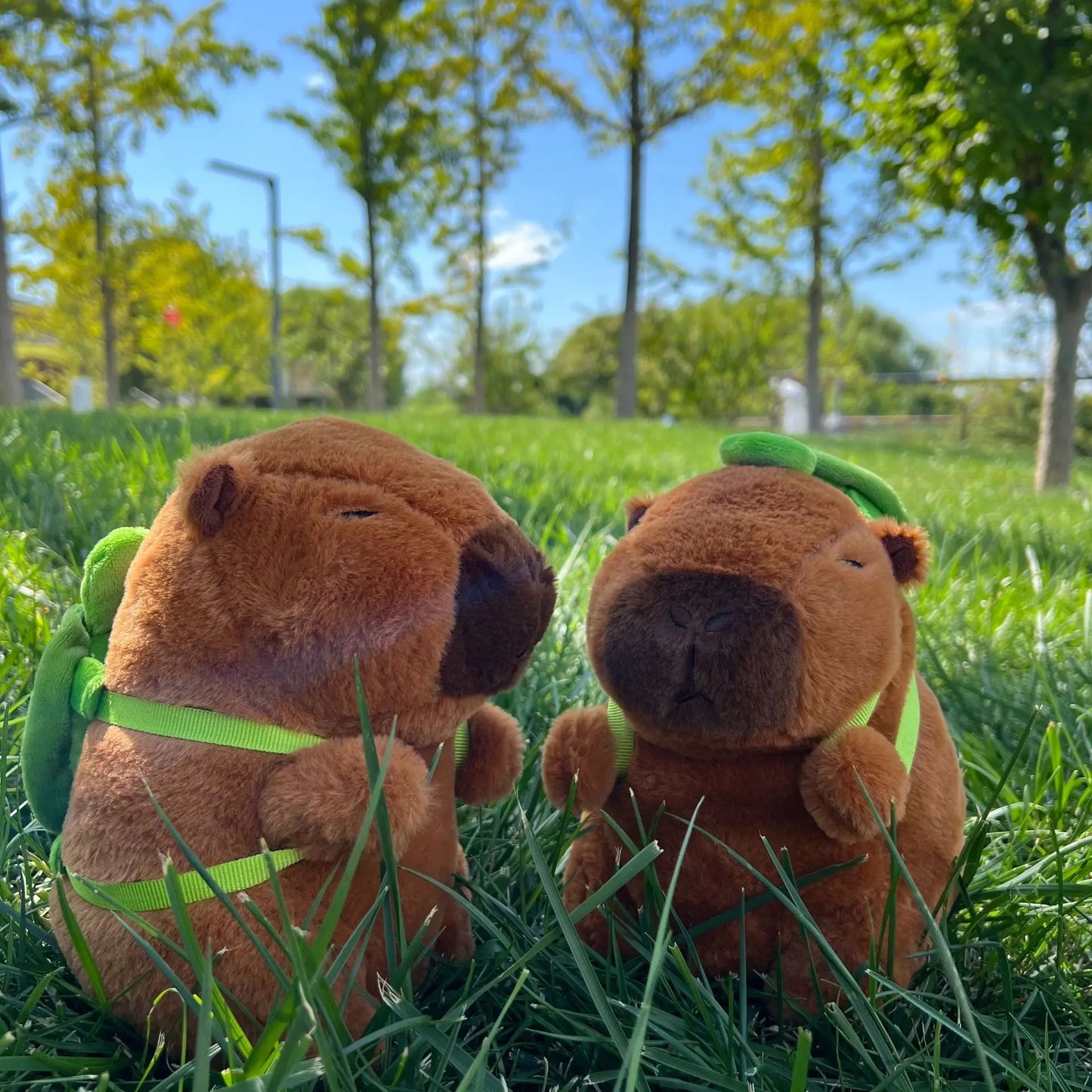 New 23cm Capybara Plush Toy Simulation Capibara Anime Fluffty Toy Cute Soft Stuffed Animals Doll Plush Christmas Gifts for Kids