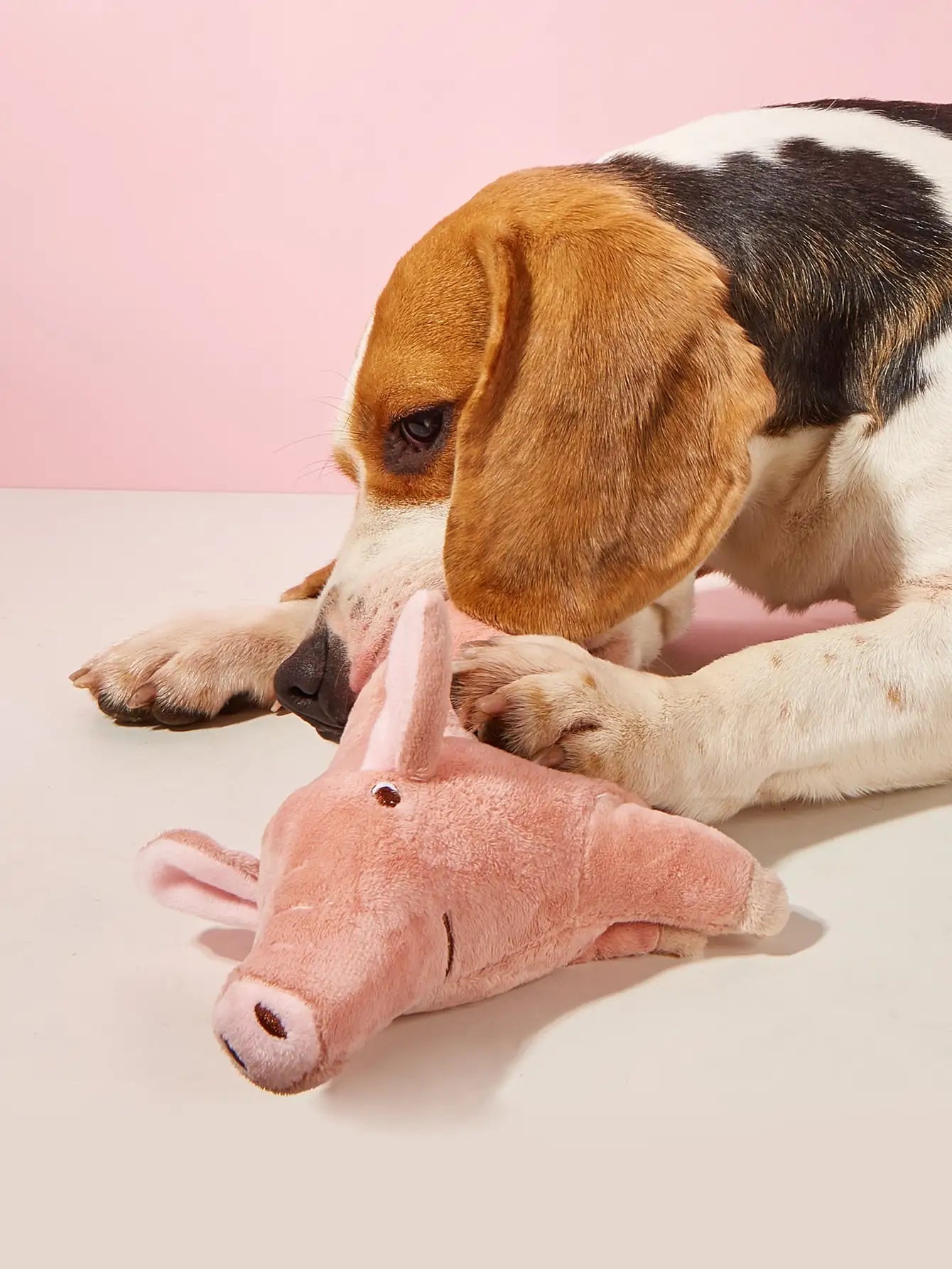 A cute pig design pet teeth grinding plush toy, bite resistant interactive dog toy supply