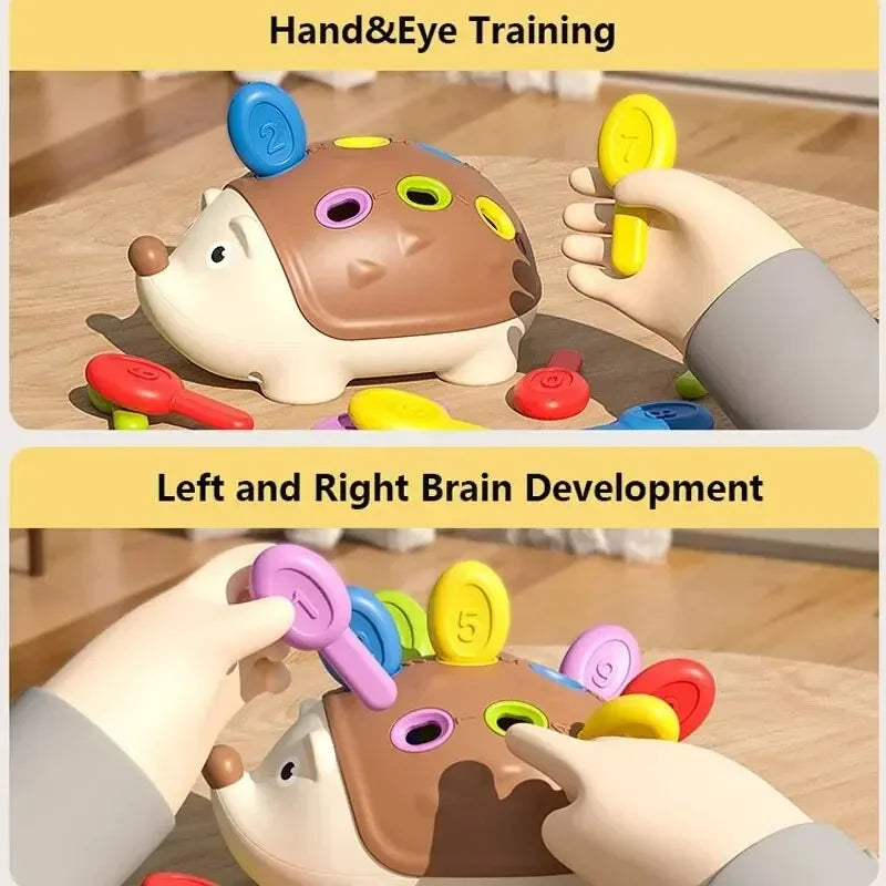 Hedgehog Montessori Baby Toys Early Hand-eye Coordination Motor Training Develop Concentration Sensory Educational Toy for Kids