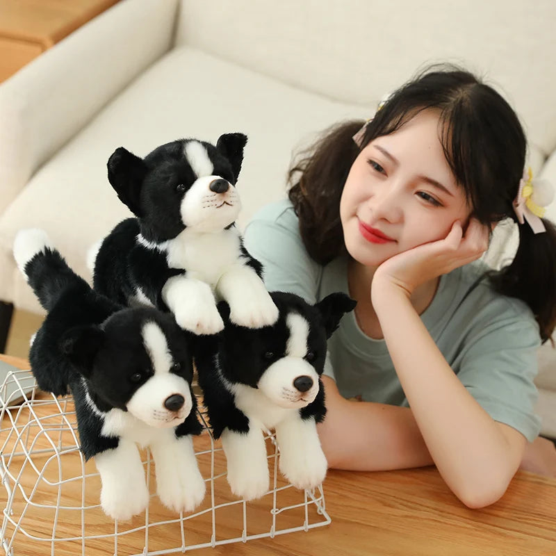 34cm High Quality Lovely Plush Animals Toys Simulation Border Collie Super Soft Dog Pillow Dolls For Boys Kids Birthday Gift