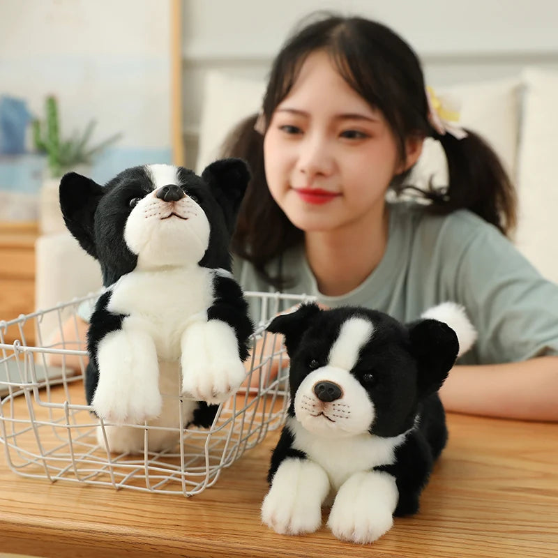 34cm High Quality Lovely Plush Animals Toys Simulation Border Collie Super Soft Dog Pillow Dolls For Boys Kids Birthday Gift