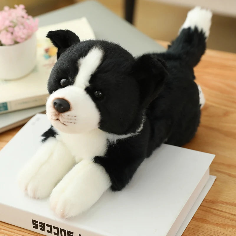 34cm High Quality Lovely Plush Animals Toys Simulation Border Collie Super Soft Dog Pillow Dolls For Boys Kids Birthday Gift