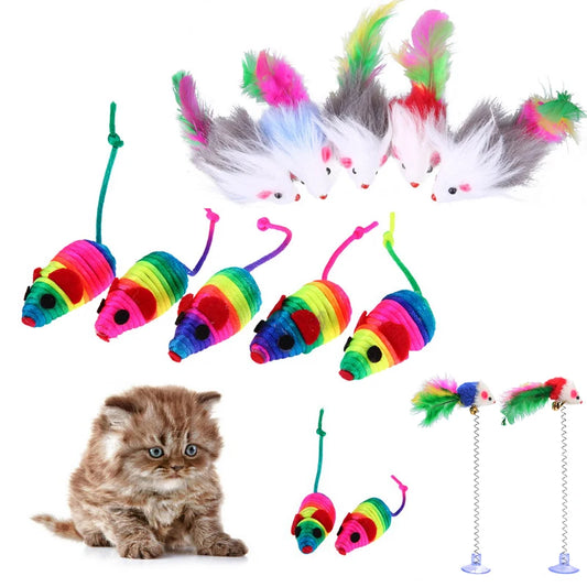 5 Piece Cat Toys for Bonding w/ Cats